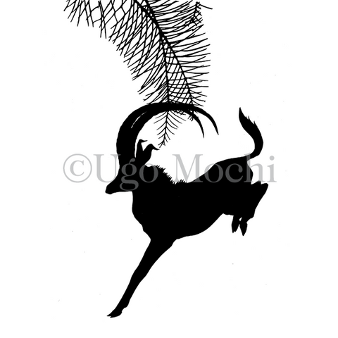 African Sable Antelope No.2