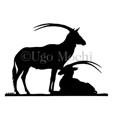White Oryx Antelope