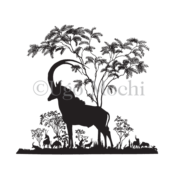 African Sable Antelope No.3