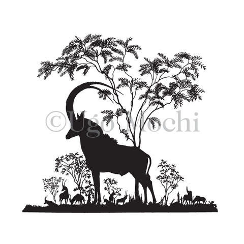 African Sable Antelope No.3